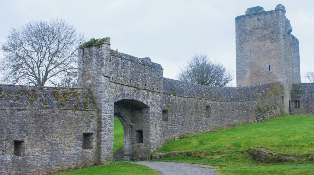 Kells Priory has the appearance more of a fortress than of a place of worship. 13 acres of 12th century ruins, perfect for exploring!
