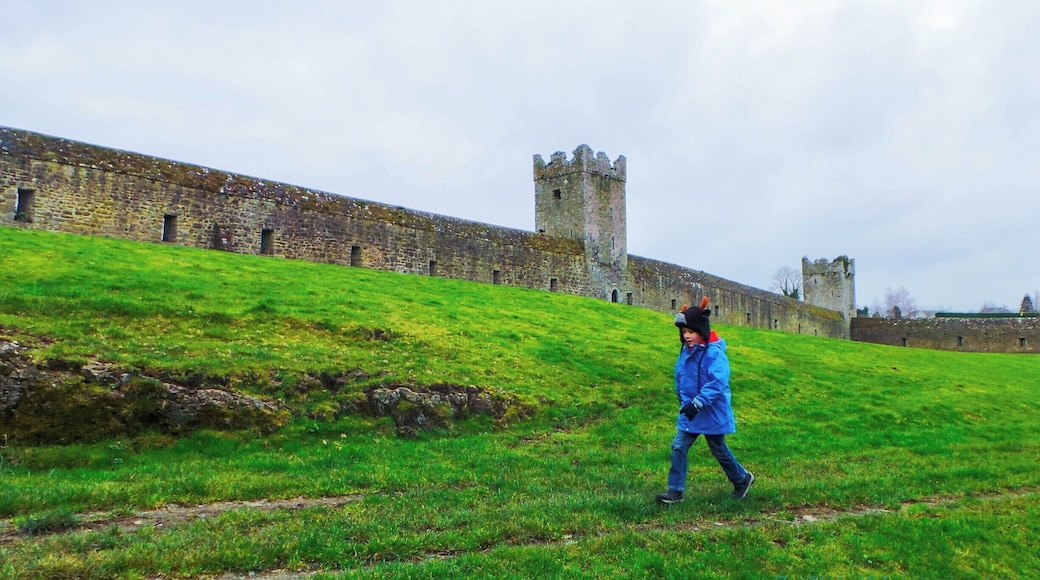 Kells Priory has the appearance more of a fortress than of a place of worship. 13 acres of 12th century ruins, perfect for exploring!
