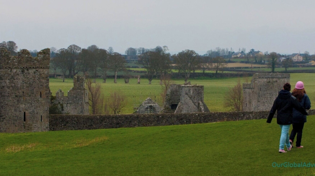 Kells Priory has the appearance more of a fortress than of a place of worship. 13 acres of 12th century ruins, perfect for exploring!