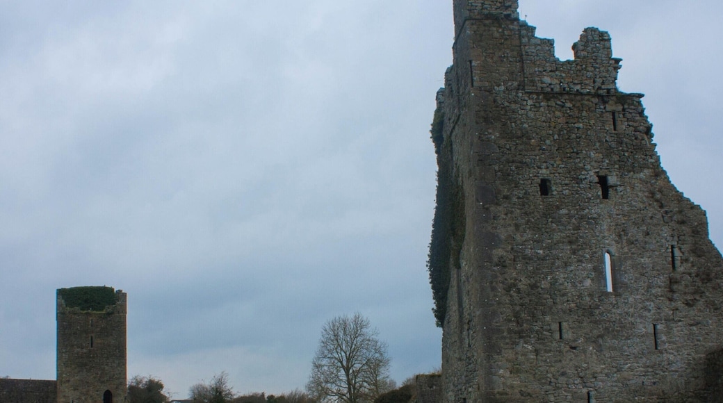 Kells Priory has the appearance more of a fortress than of a place of worship. 13 acres of 12th century ruins, perfect for exploring!