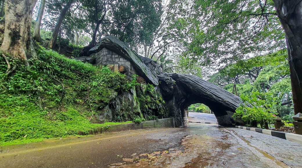 ์นด๋๊ฐ๋์