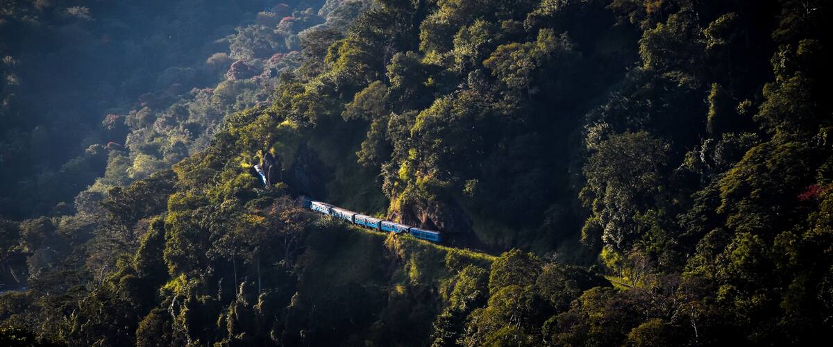 A train traveling through a mountainous forest.