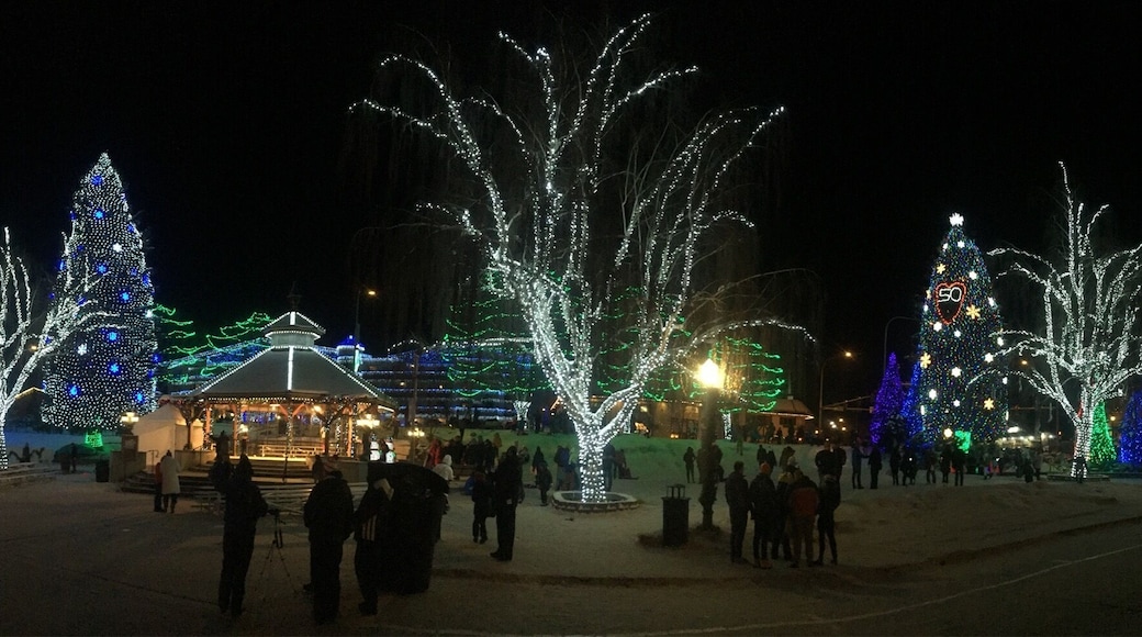 Christmas Lighting #winterwonderland