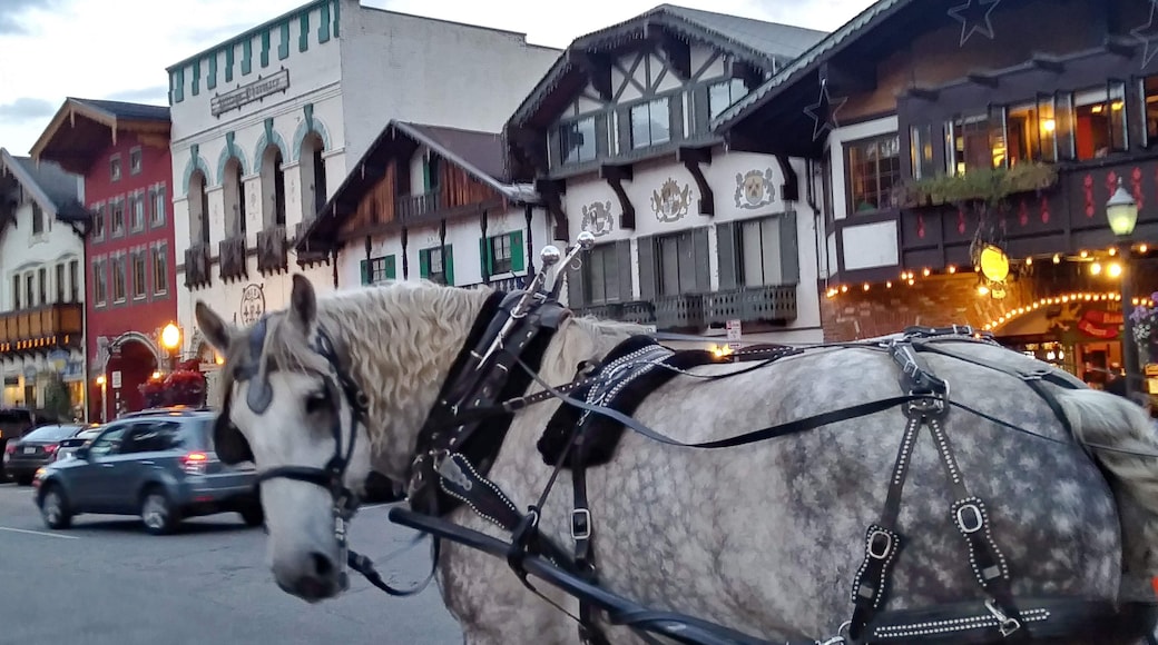 Quant German town in the beautiful Washington mountains #adventure