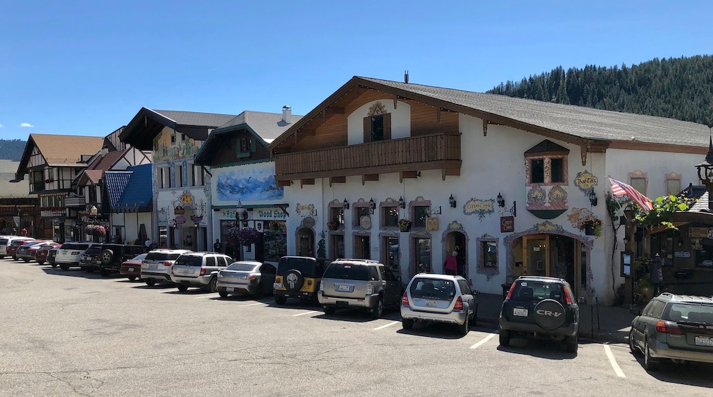 Front Street in Leavenworth, Washington. The entire town center is modeled on a Bavarian village as part of a civic initiative that began in the 1960s. The area is a major tourist destination during the wintertime. (June 2019)
#Trovember