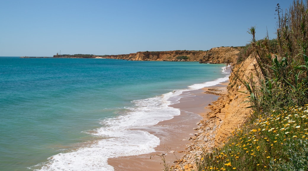 Fuente del Gallo Beach featuring rugged coastline and general coastal views