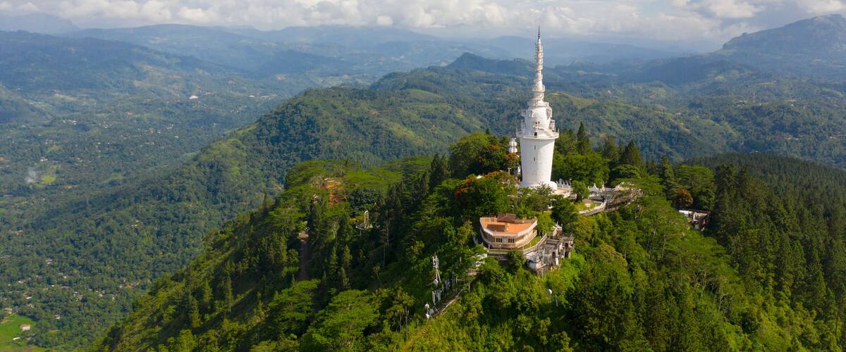 A white tower on a hill surrounded by lush green forest.