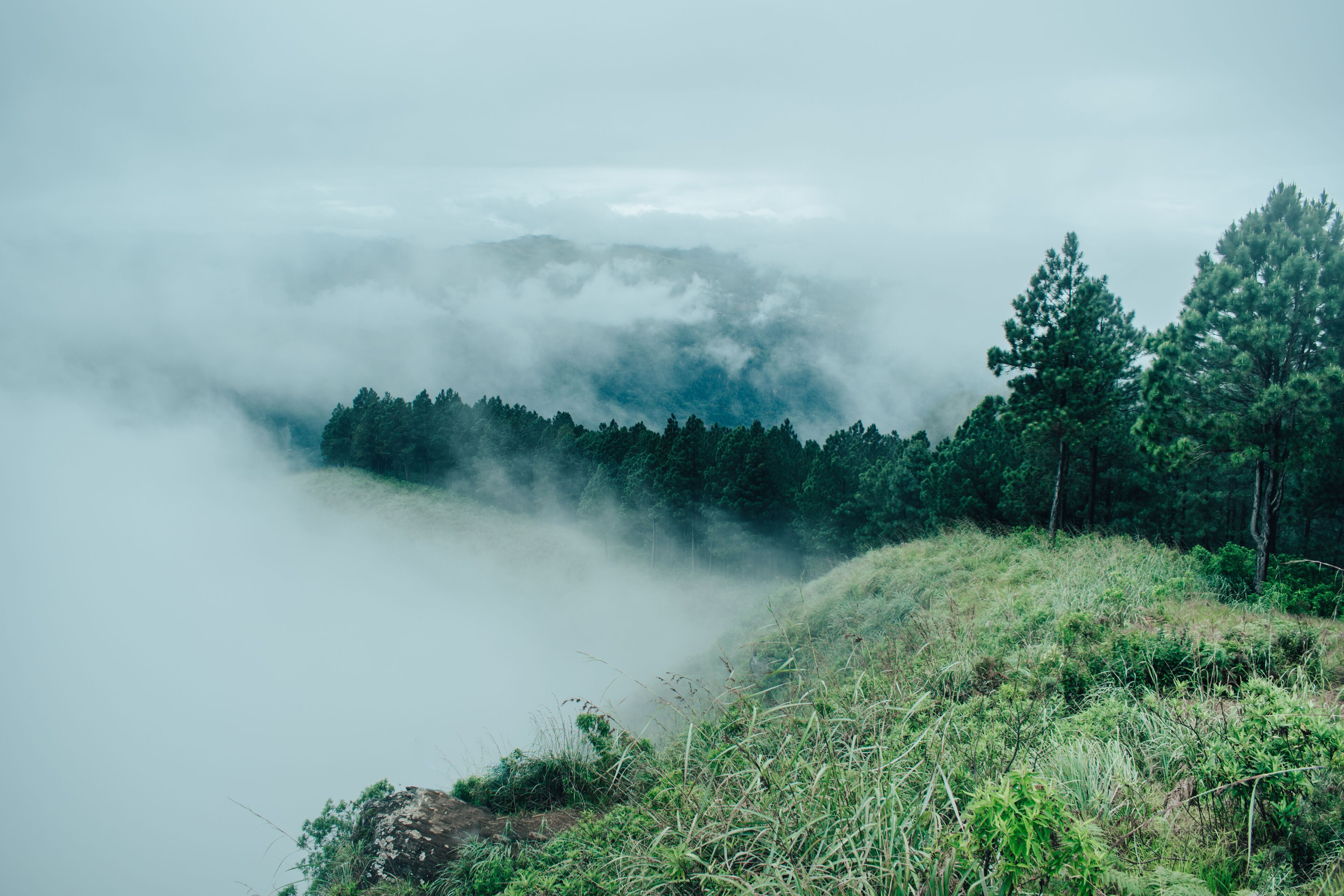" misty morning in the mountains " - Peacock hill mountain is one of the most beautiful mountain range located in Pussellawa , Srilanka.