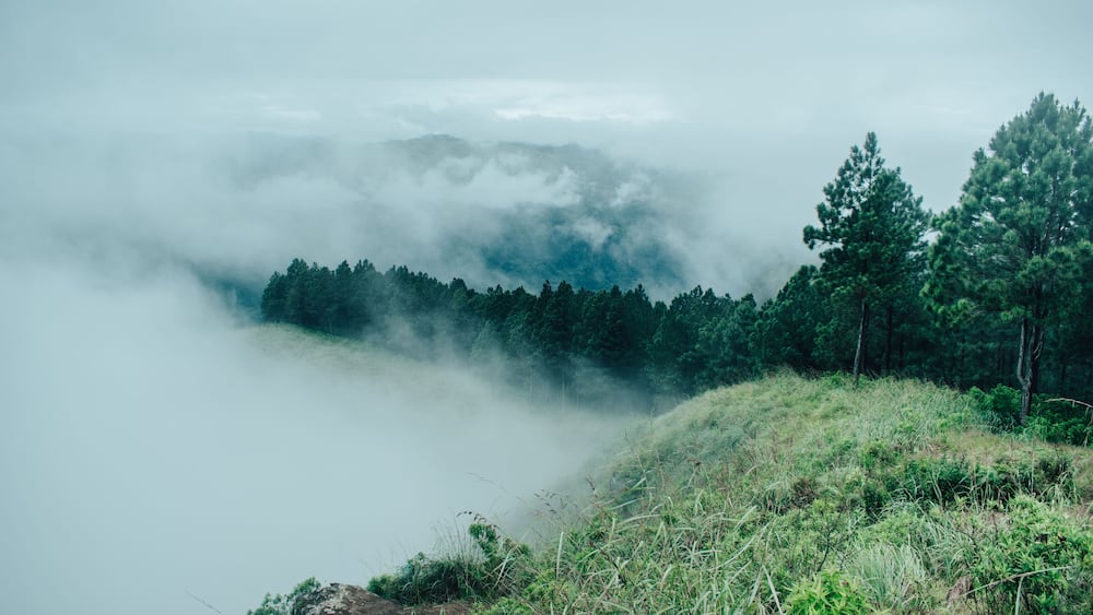 " misty morning in the mountains " - Peacock hill mountain is one of the most beautiful mountain range located in Pussellawa , Srilanka.