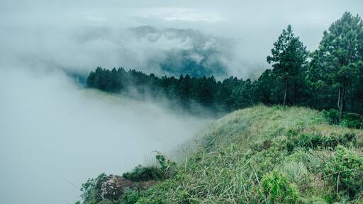 " misty morning in the mountains " - Peacock hill mountain is one of the most beautiful mountain range located in Pussellawa , Srilanka.