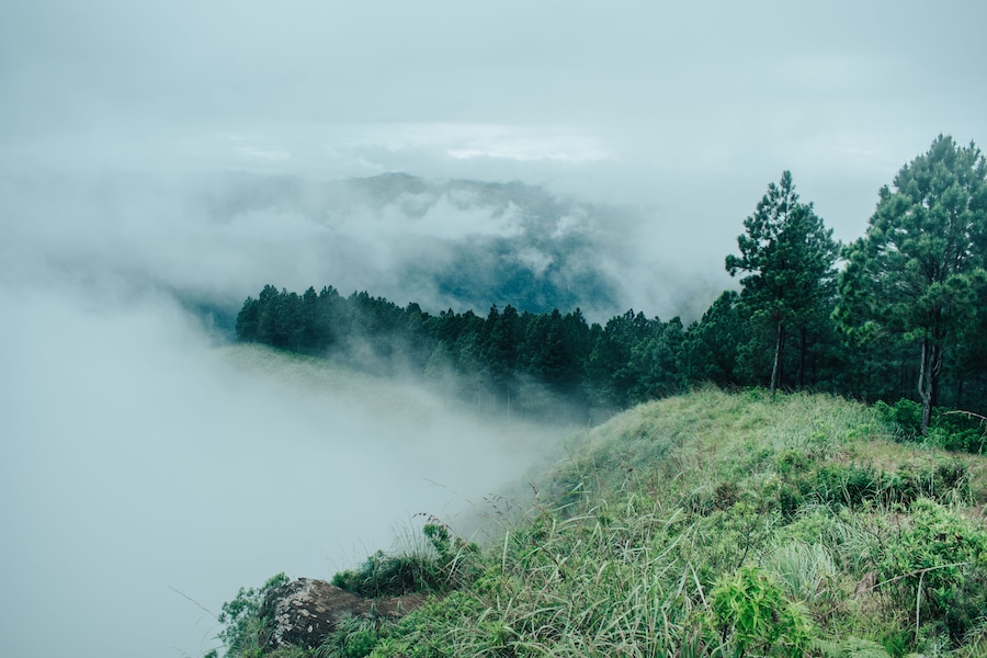 " misty morning in the mountains " - Peacock hill mountain is one of the most beautiful mountain range located in Pussellawa , Srilanka.