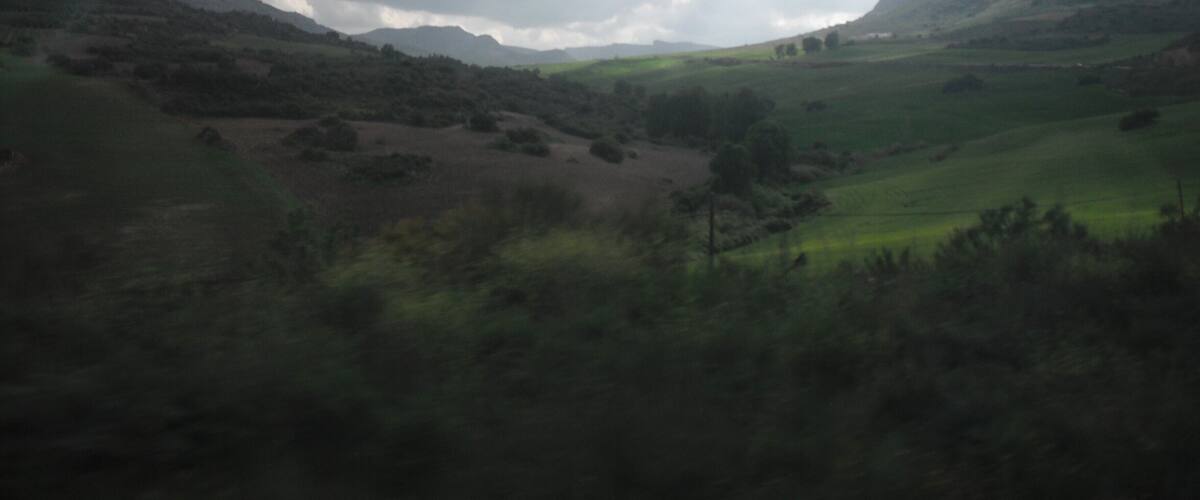 A mountainous landscape with rolling hills and scattered trees.
