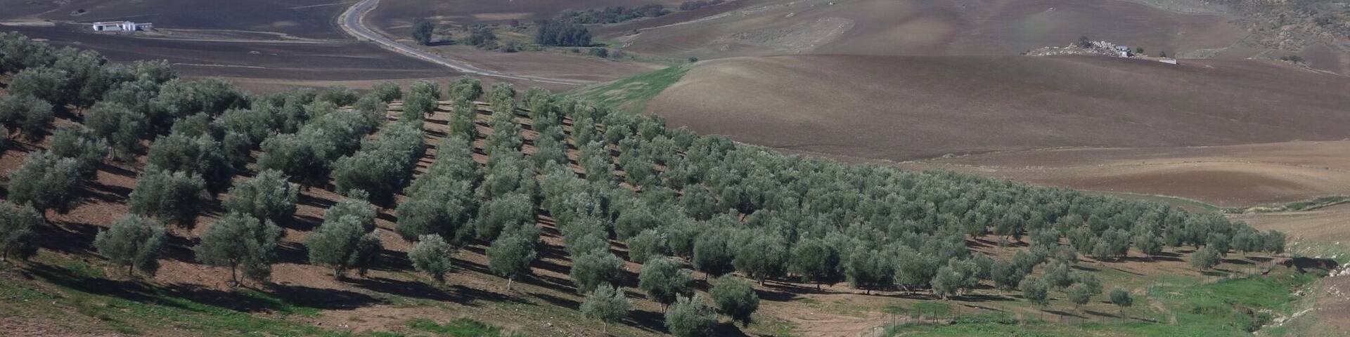 Algamitas mountains / Spain