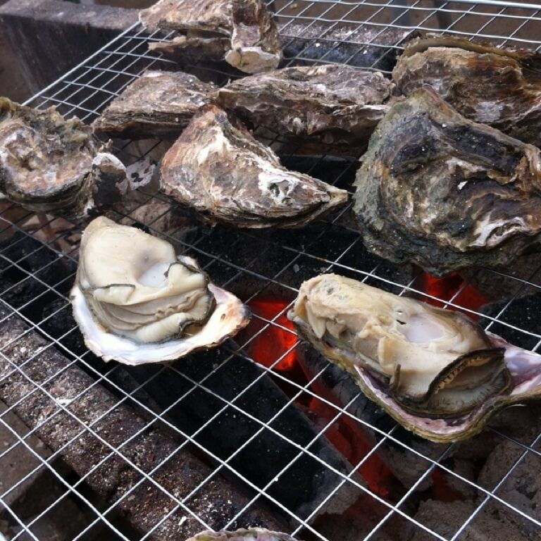 Oysters being grilled on a wire rack over an open flame.