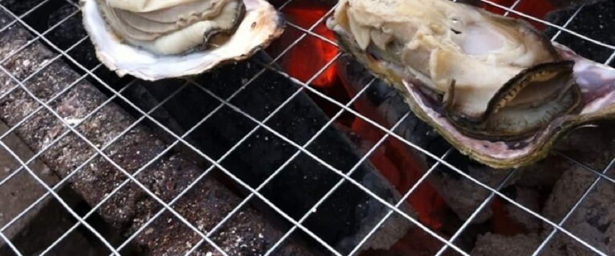 Oysters being grilled on a wire rack over an open flame.