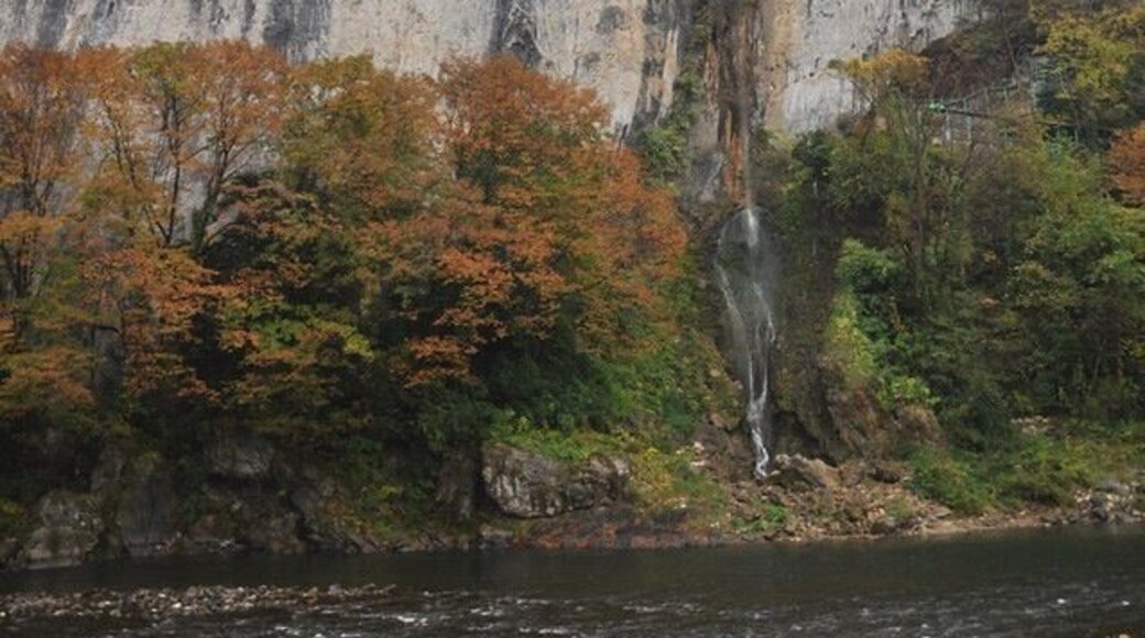 In Niimi in northwestern Okayama.
The Ikura-do Cave is located in the 240-meter tall vertical, limestone cliff side.
It was a foggy day, which is why we went to the caves rather than do some other sightseeing we had planned, but the caves were really cool and we weren't sad about the weather, at all!