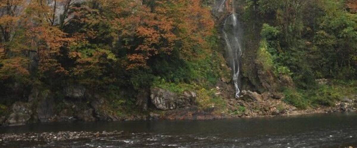 A waterfall cascading down a cliff surrounded by autumn foliage.