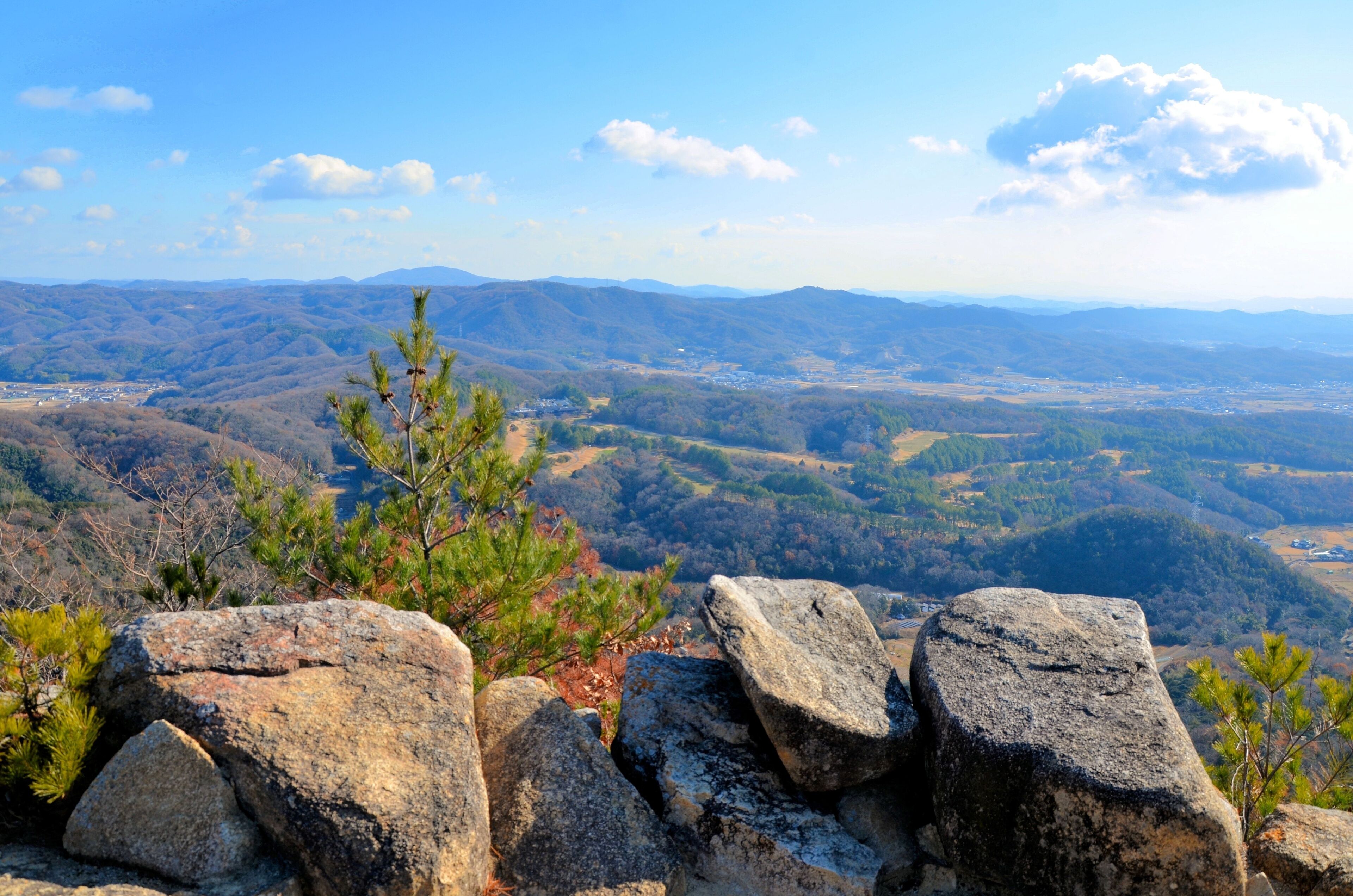 A mountainous landscape with rocky outcrops and pine trees.