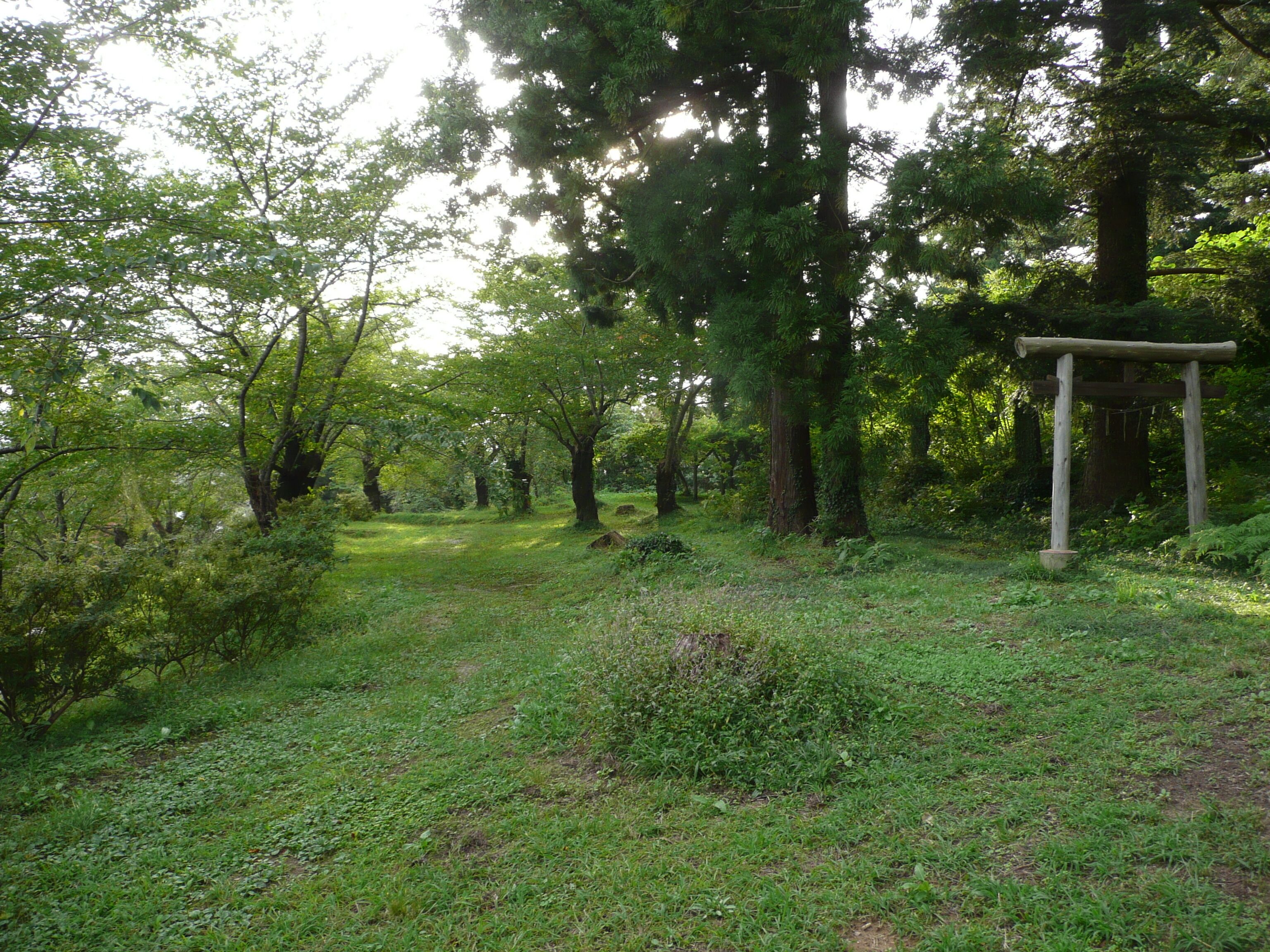 岩崎城の二の丸跡