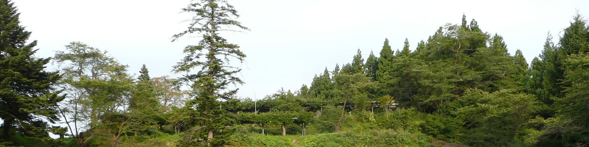 岩崎城の三の丸