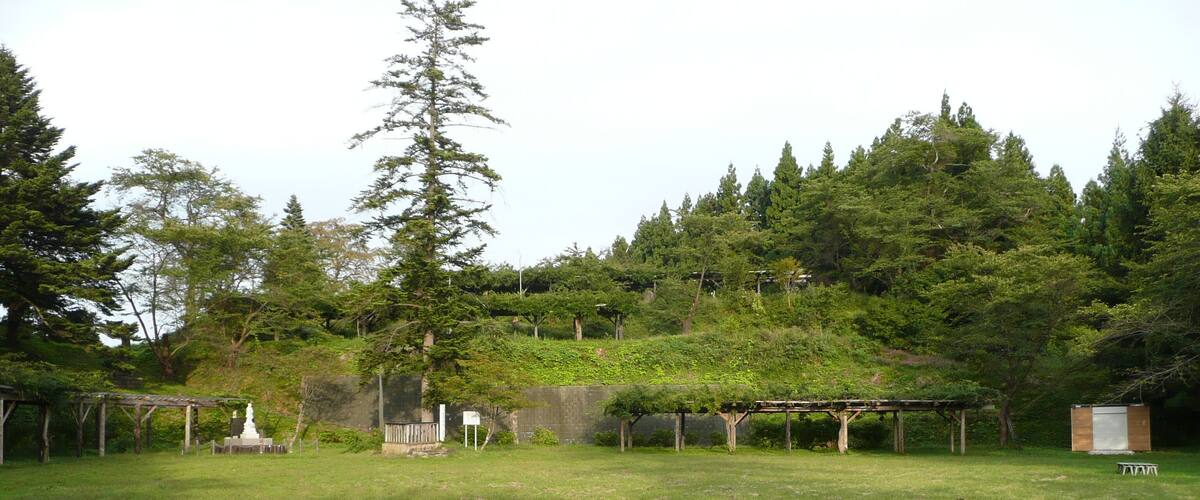 A grassy park with a tall tree, wooden structures, and a small shed.
