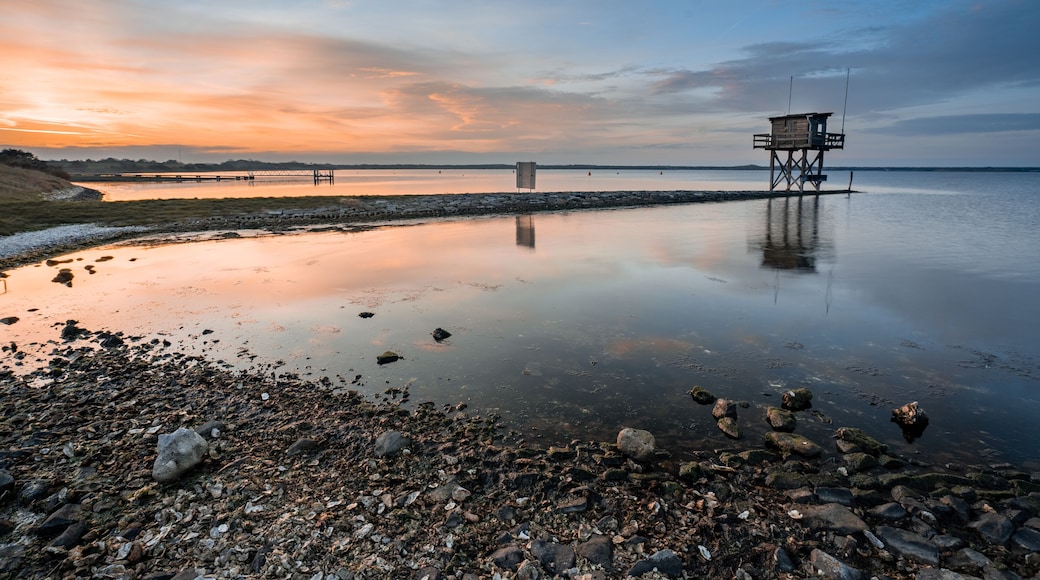 スカーレンデイケ