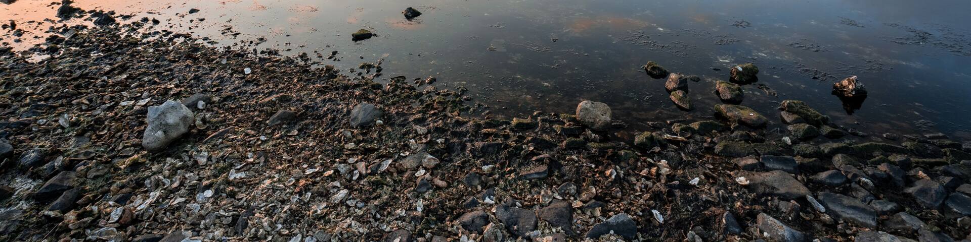 beautiful evening, sunset in Scharendijke, The Netherlands.