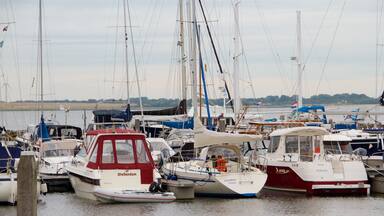 South Holland showing boating and a bay or harbour