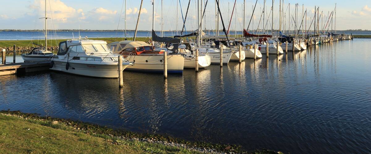 A marina with multiple sailboats docked in calm waters.