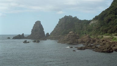 Nashigadaira, Echizen, Nyu District, Fukui Prefecture 916-0301, Japan