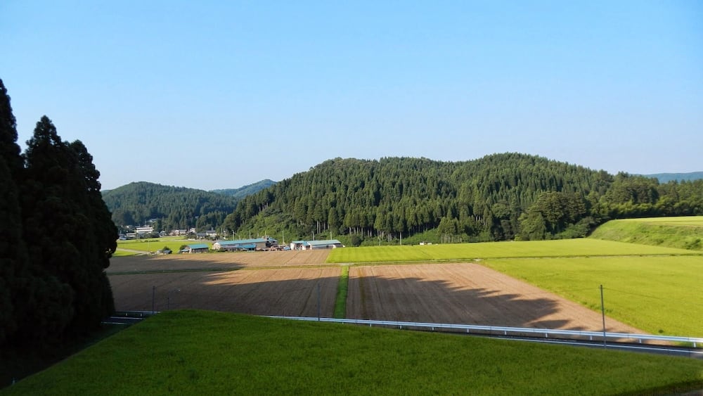 A rural landscape with green fields, a forested hill, and a few buildings in the distance.
