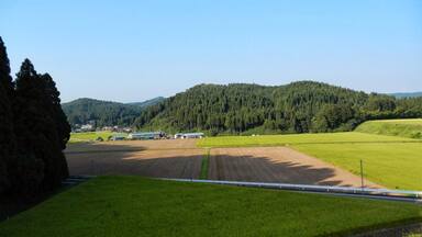 A rural landscape with green fields, a forested hill, and a few buildings in the distance.