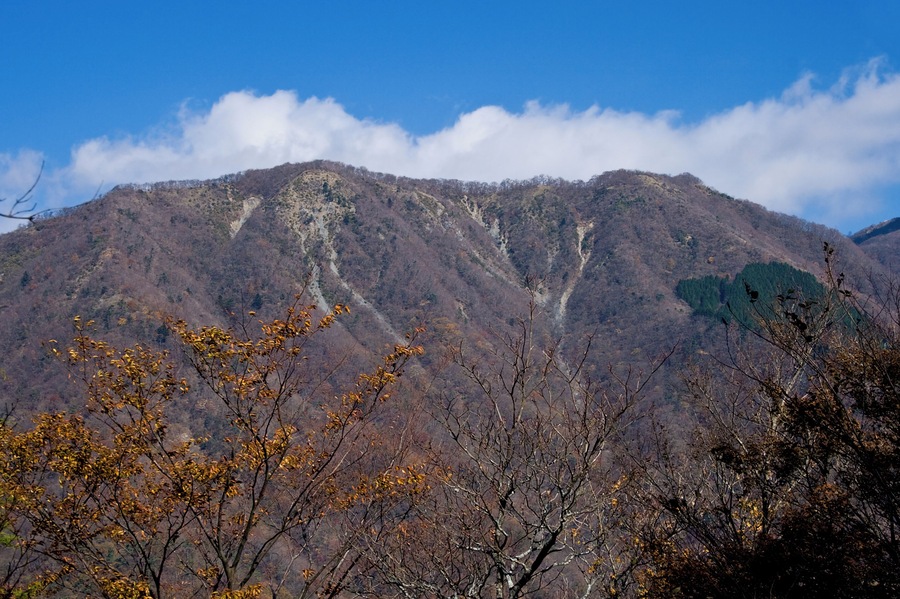 栗ノ木洞より望む小丸