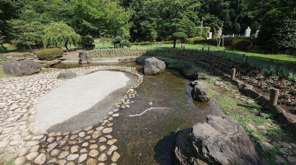 Miyayama, Samukawa, Koza District, Kanagawa Prefecture 253-0106, Japan