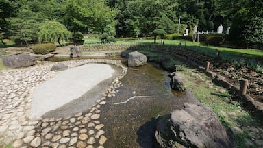 Miyayama, Samukawa, Koza District, Kanagawa Prefecture 253-0106, Japan