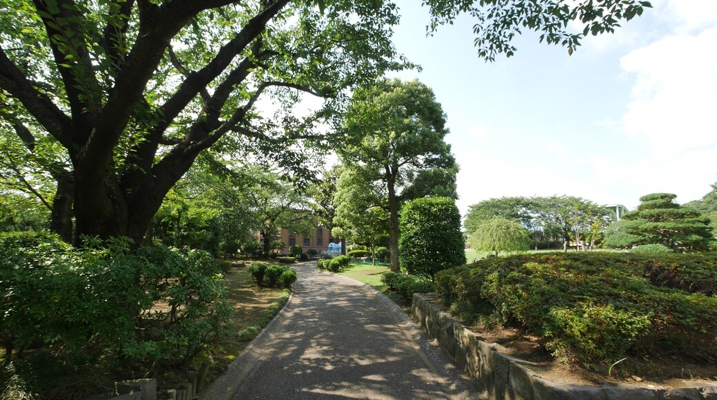 Miyayama, Samukawa, Koza District, Kanagawa Prefecture 253-0106, Japan