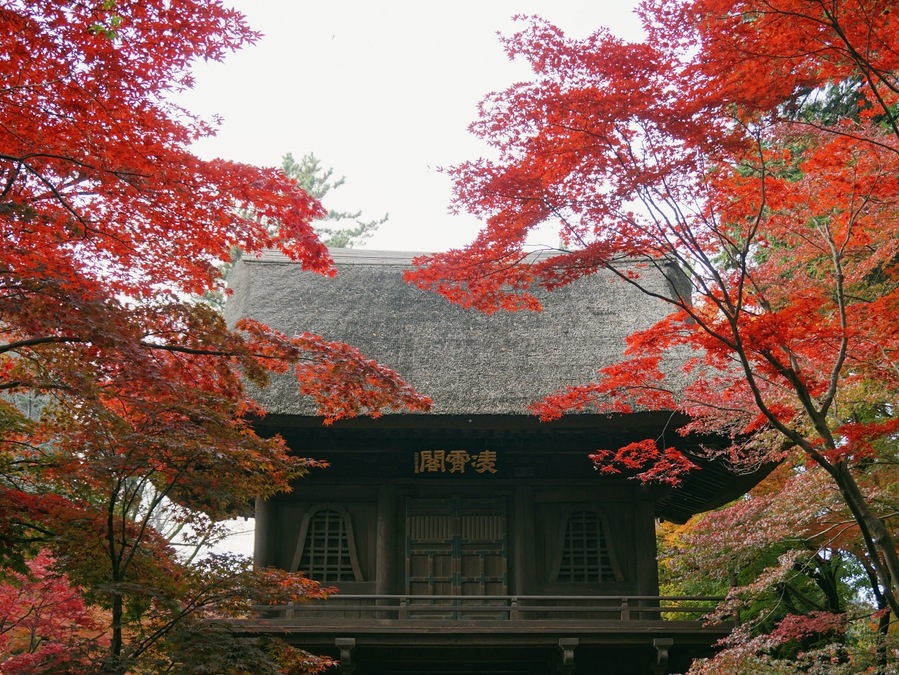 Another photo at the entrance of Heirin-ji, a temple established in 1375.
The fall foliage season is late November to early December. Entrance fee is 500 yen (totally worth it, trust me!)
Closest Station: Hibarigaoka Sation on the Seibu Ikebukuro Line. From there, walk to Hibarigaoka Station North Bus Stop and take the Hibari73 bus (headed for Shiki Station) and get off at Heirinji bus stop, about a 15min ride.