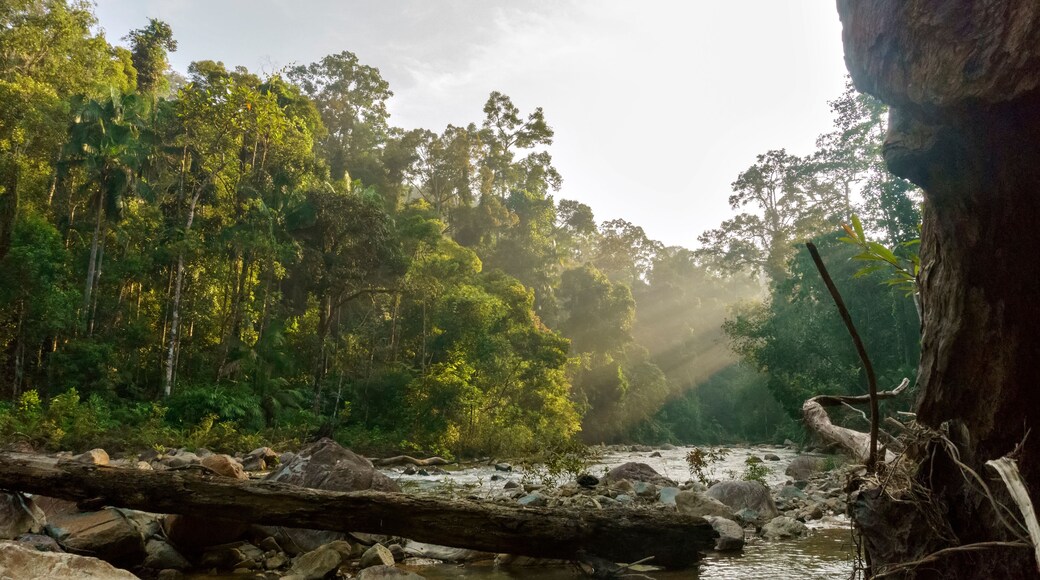 Parque nacional Endau-Rompin