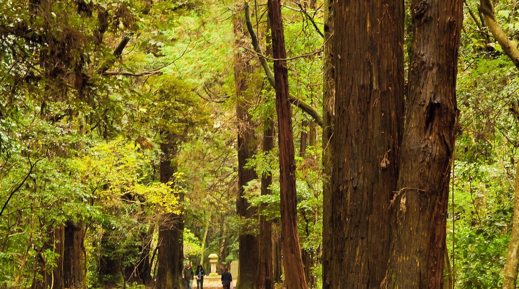 鹿島神宮参道(要石)