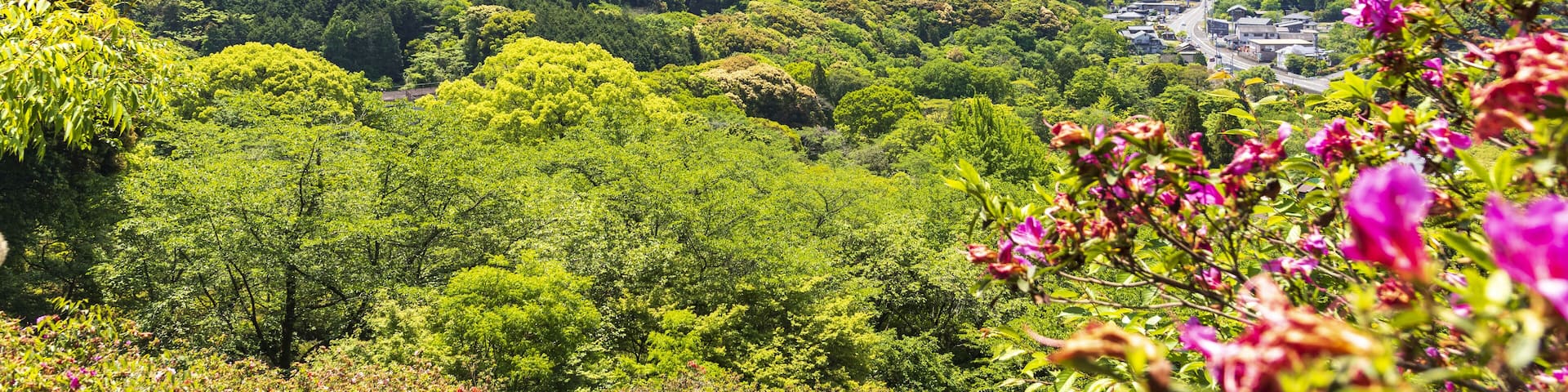 Takeo city with blue sky, skyline top view from Mifuneyama Rakuen in Saga Prefecture, Kashima, Kyushu Japan.