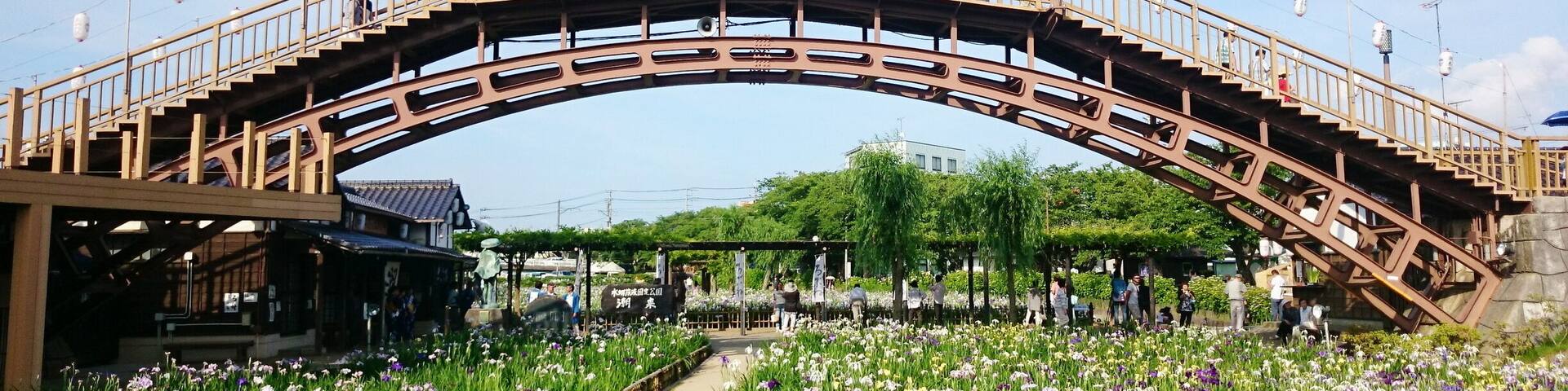 Ayame Garden in Itako holds an Ayame (Japanese Iris) Flower Festival every year from late May to June.
The iris come in various shades of white, purple, and yellow. The garden covers approx. 1.3 hectares (3.2 acres) next to the Maekawa River and the iris can be viewed from both the garden path and bridges above it.
Closest Station: Itako Station on the JR Kashima Line.