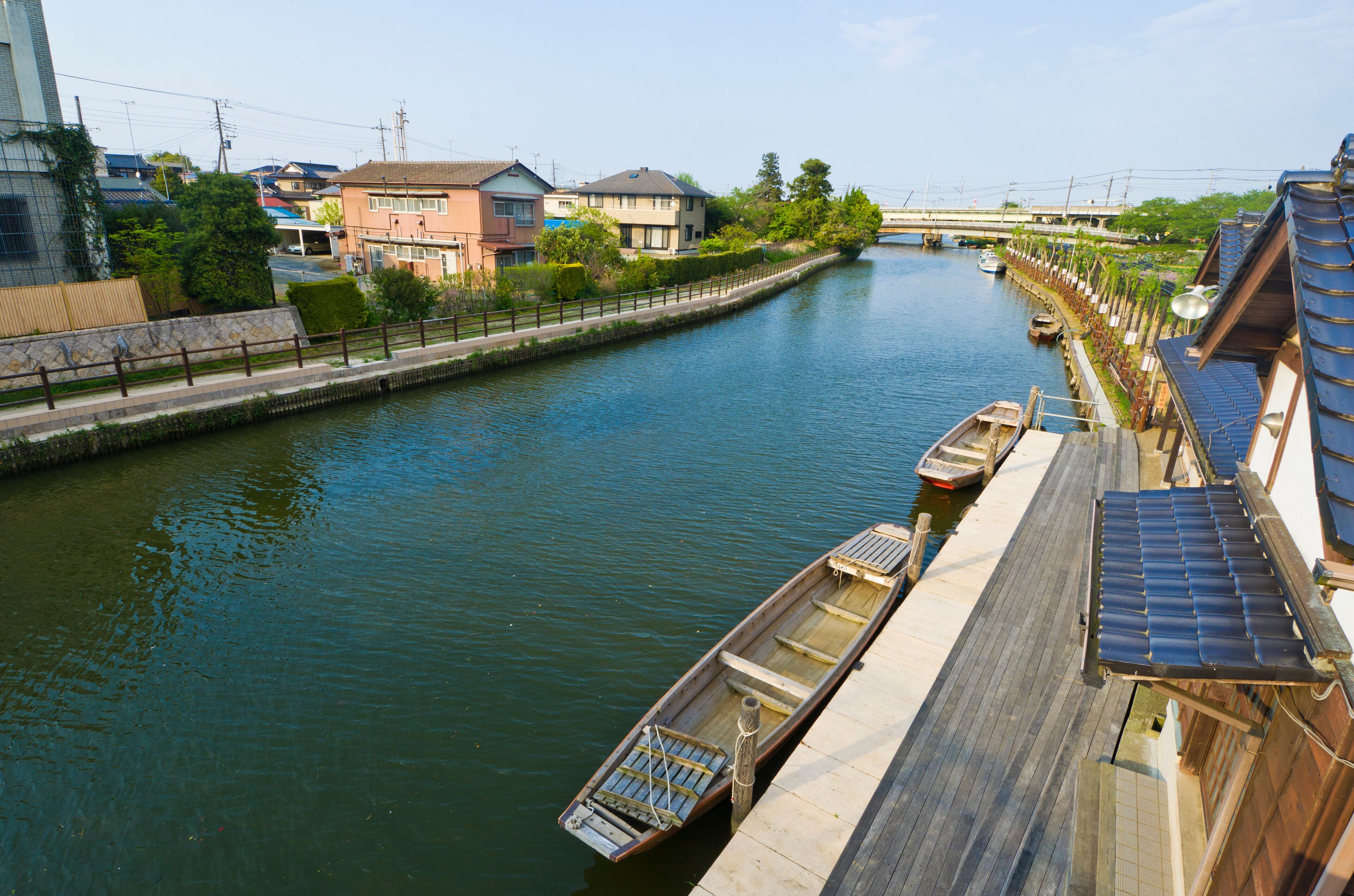 Itako iris Garden in Ibaraki prefecture, Kanto, Japan.