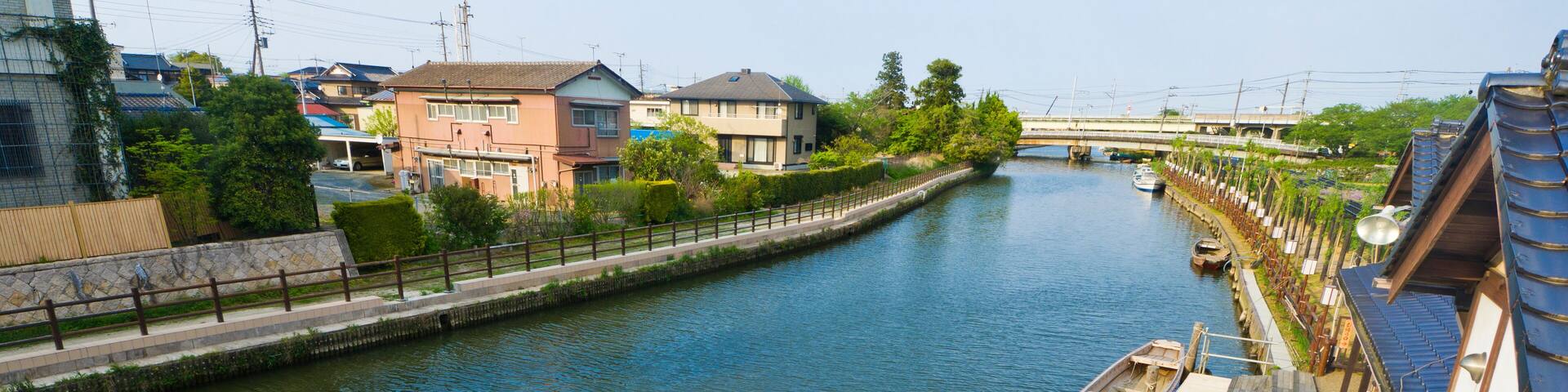Itako iris Garden in Ibaraki prefecture, Kanto, Japan.