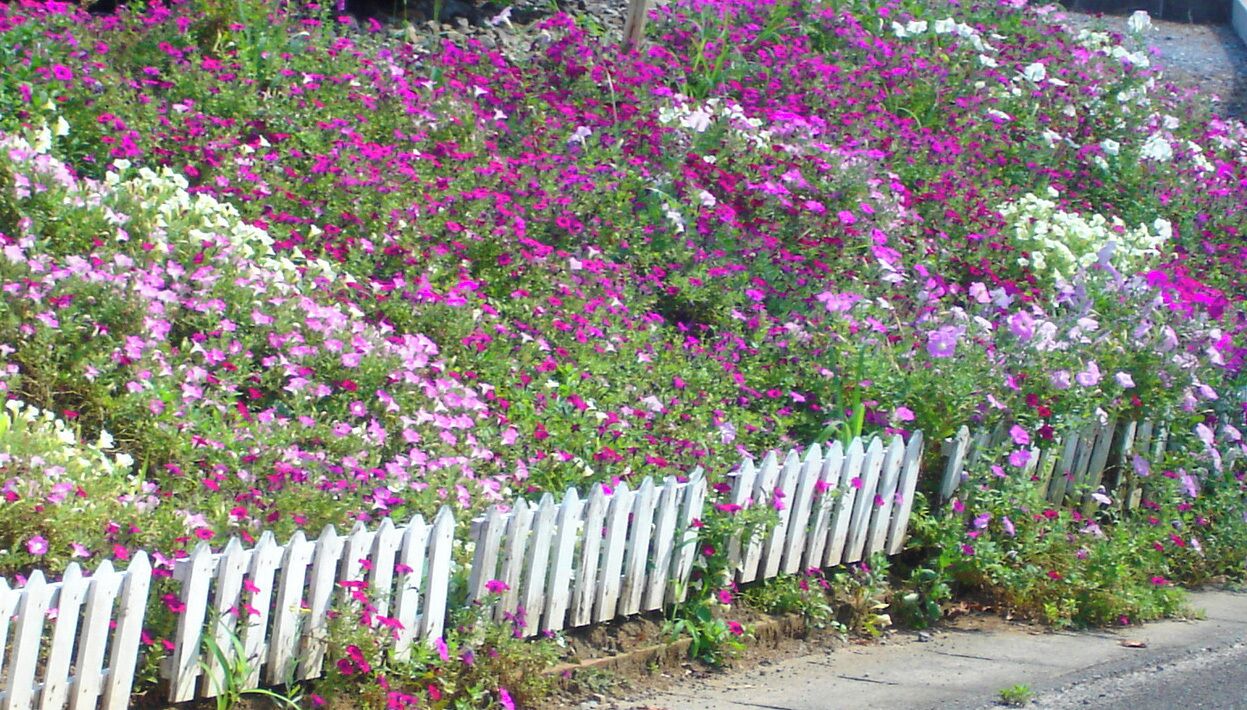 龍ヶ崎ニュータウン街並み06