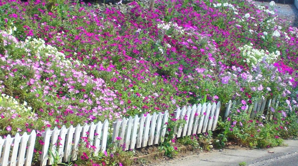 龍ヶ崎ニュータウン街並み06