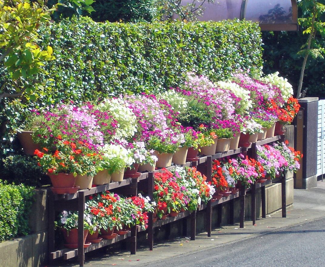 龍ヶ崎ニュータウン街並み05