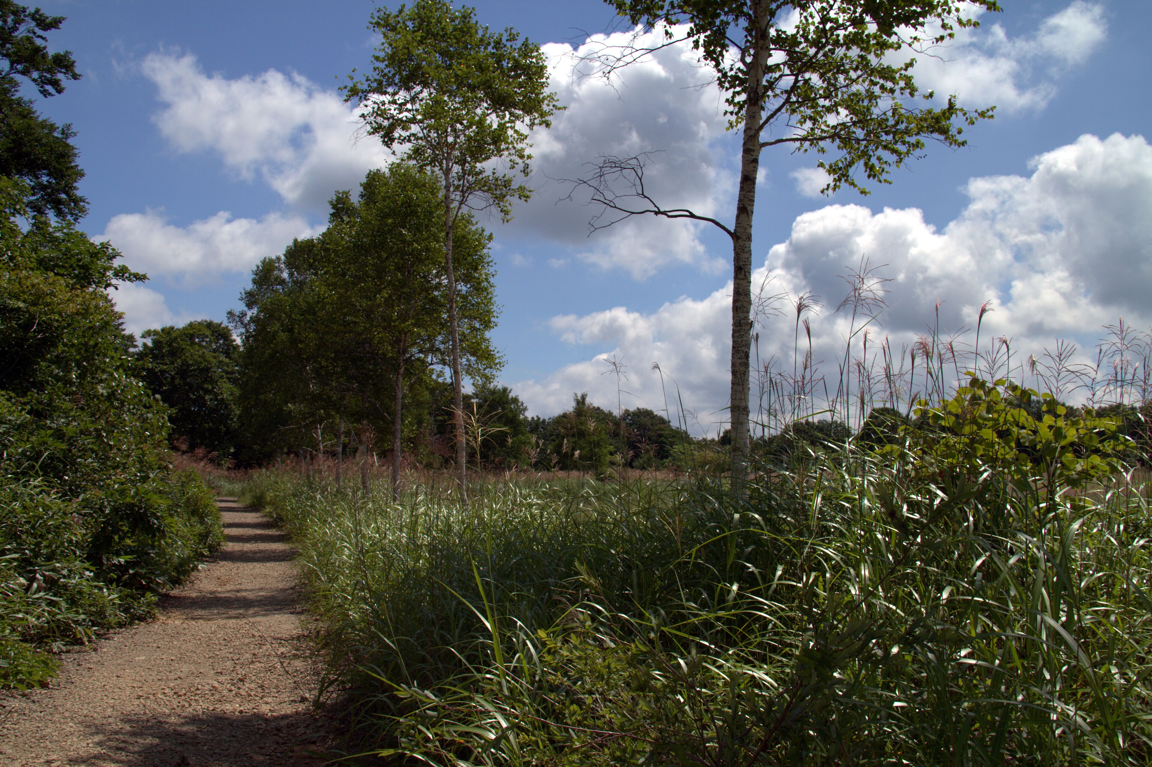 Oashi, Showa, Onuma District, Fukushima Prefecture 968-0214, Japan