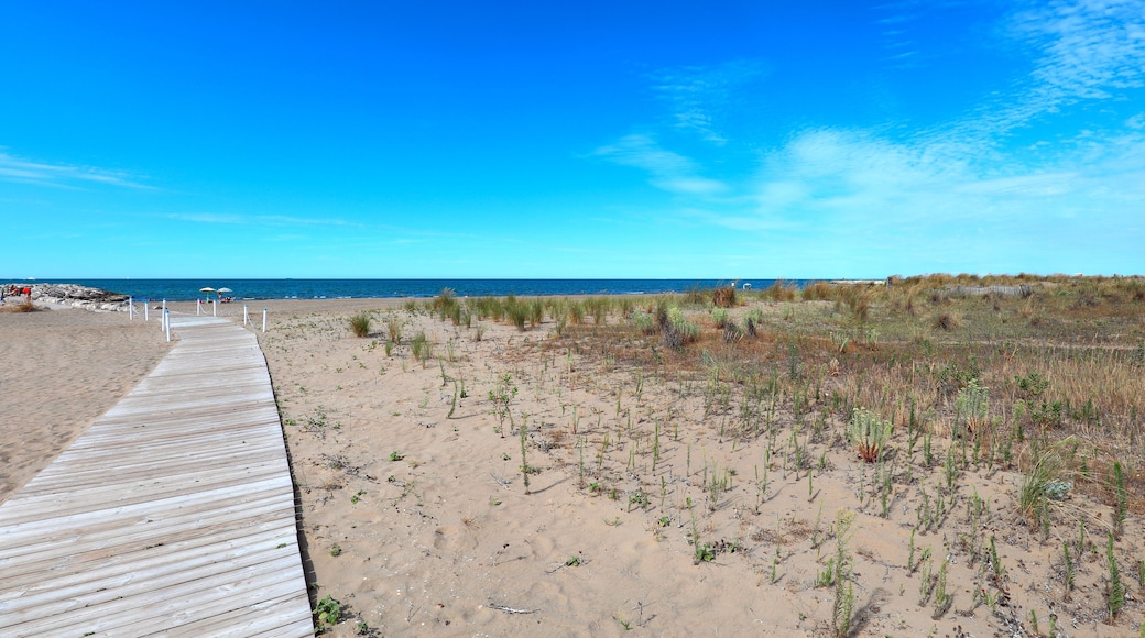 wooden walkway leading down to the crossing the sandy beach