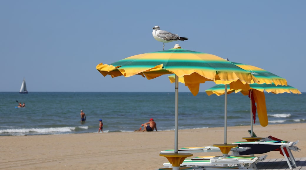 big seagull above the green yellow umbrella on the sand of the beach
