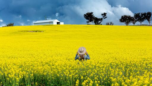 Farm girl in field of canola with storm looming